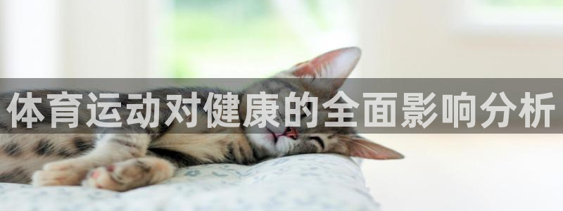 风速体育下载