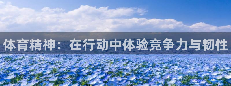 风速体育cba直播