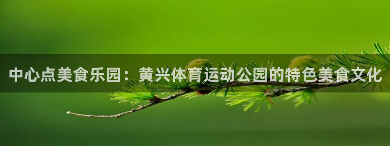 风速体育直播