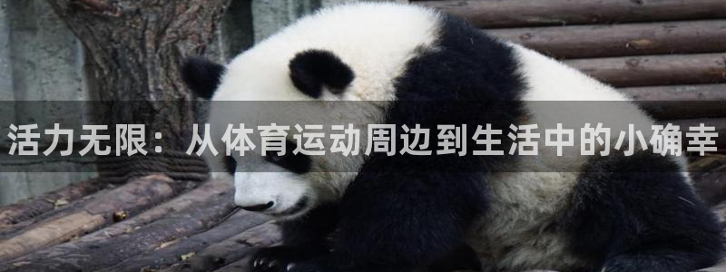 风速体育app下载官网最新版