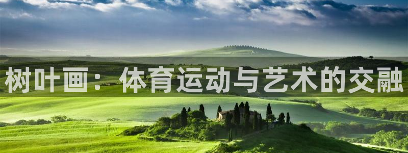 风速体育