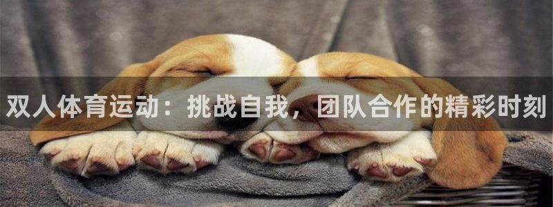 风速体育