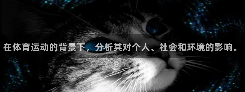 风速体育app下载官网最新版