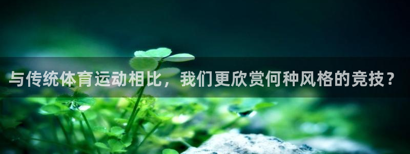 风速体育官网