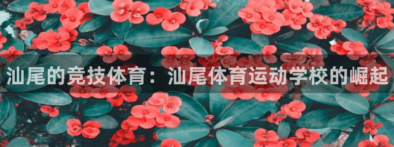下载风速体育