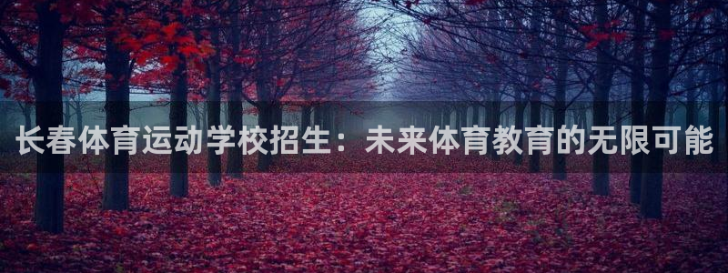 风速体育nba免费直播
