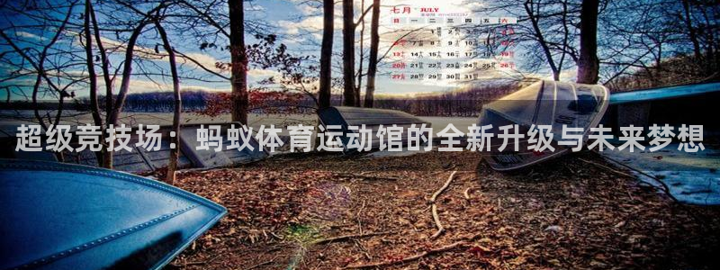 风速体育app下载安装最新版本