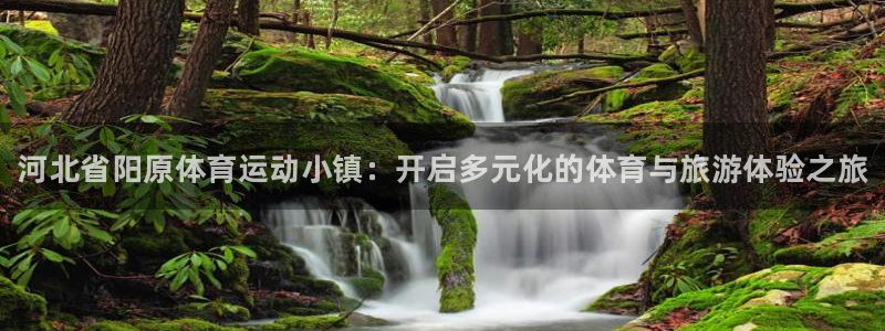 风速体育