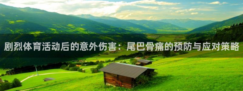 风速体育app下载官网最新版