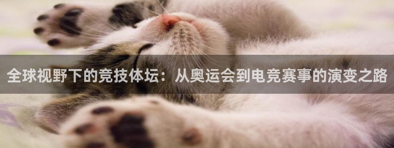 风速体育app下载安装最新版本
