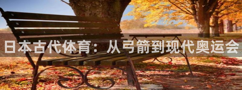 风速体育
