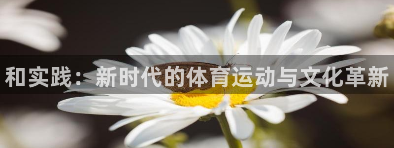 风速体育